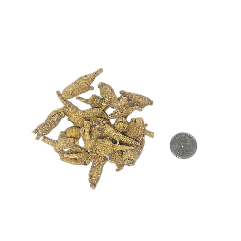 American Ginseng E-7U