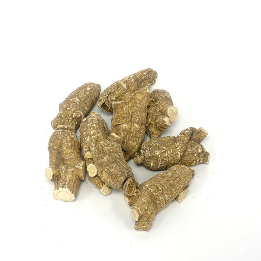 American Ginseng A-1U