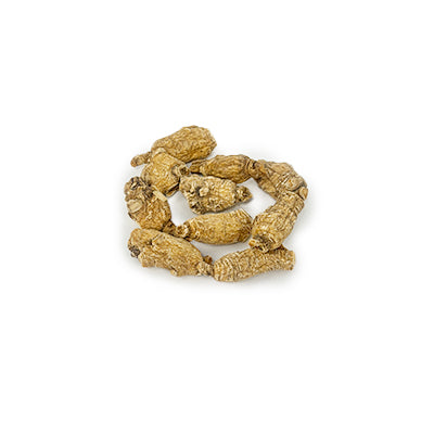 American Ginseng A6W