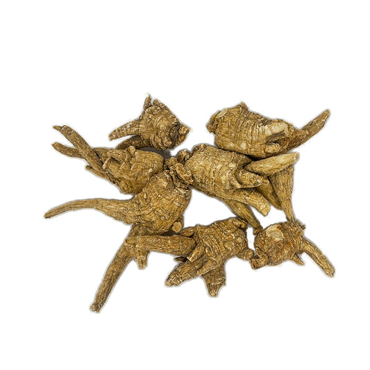 American Ginseng E1U