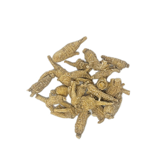 American Ginseng E-7U