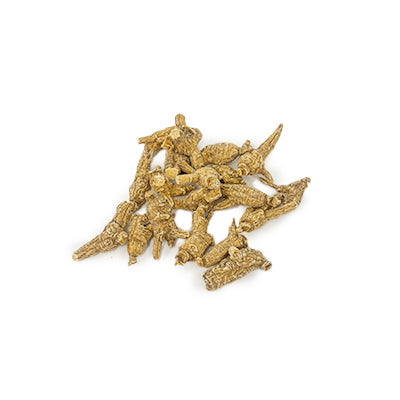 American Ginseng E7W