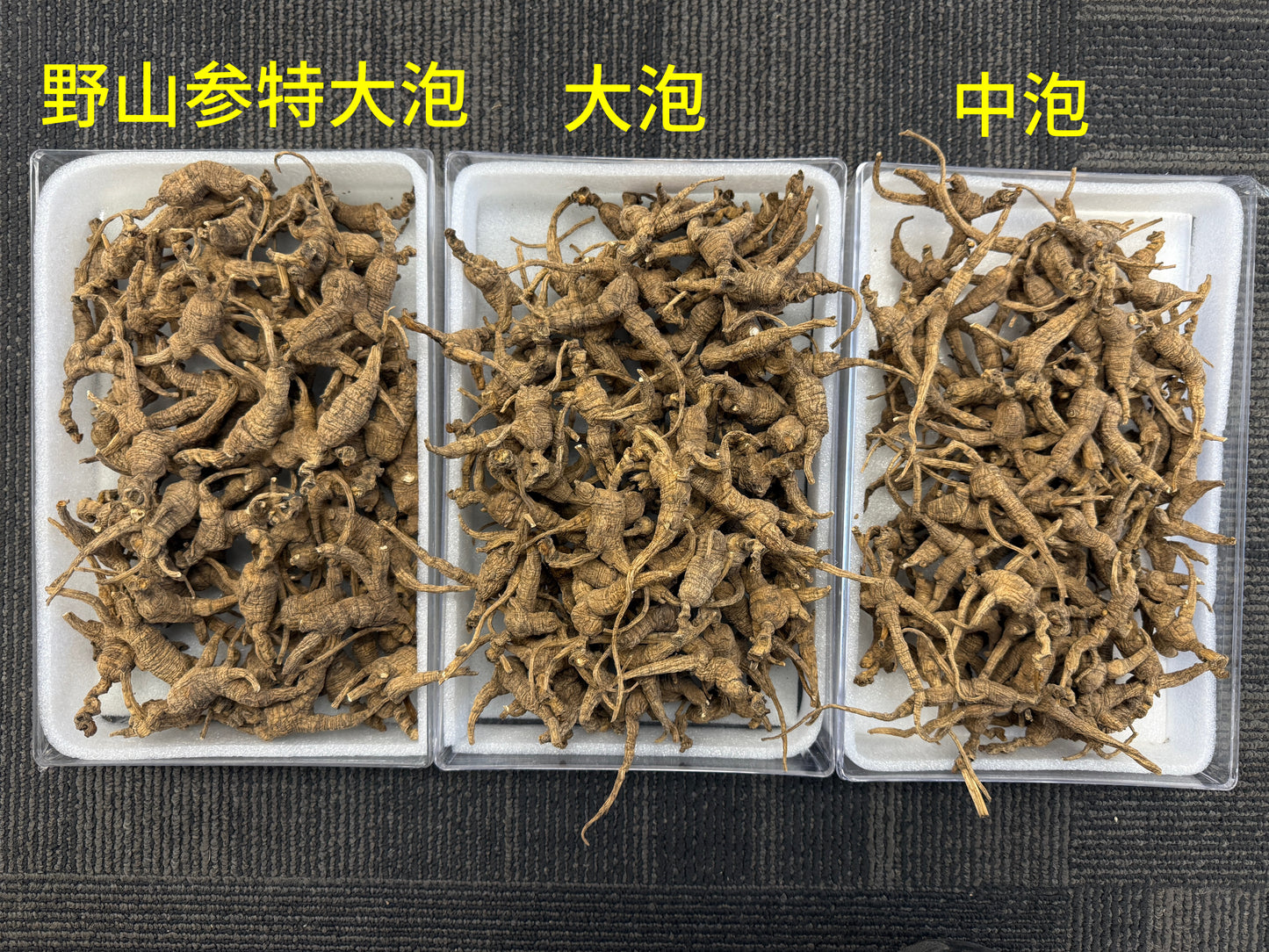 美國野山參 特大號 USWGXL