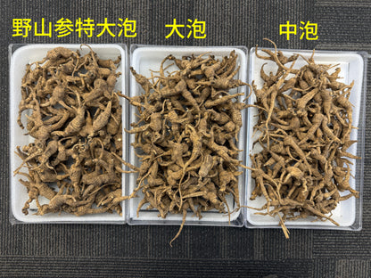 美國野山參 特大號 USWGXL
